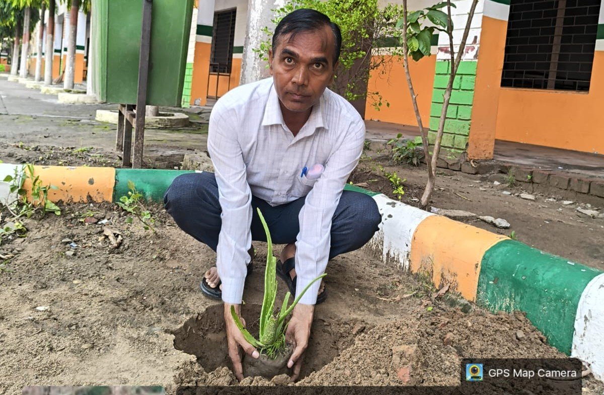 वृक्षारोपण : 12 जुलाई 2026