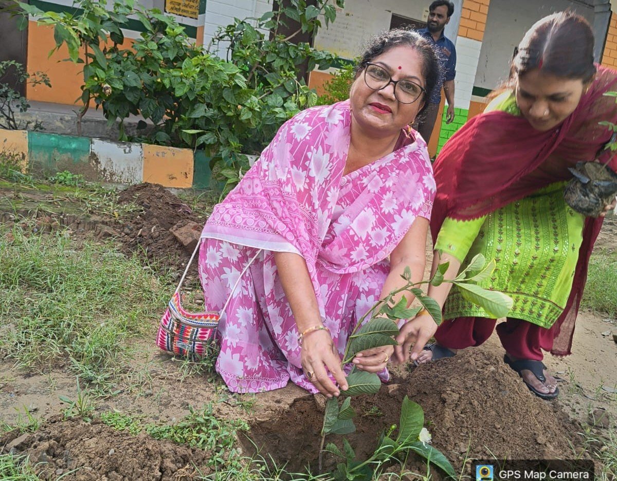वृक्षारोपण : 12 जुलाई 2026